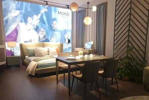 愛依瑞斯莫拉 詮釋藝術之魅，引領軟體家具新風尚